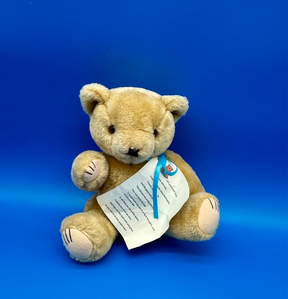 Prayer Bear Teddy Plush Pine Wesley United Methodist Church Get Well 12"